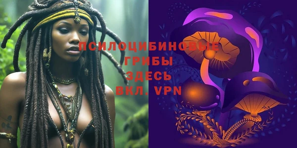 ПСИЛОЦИБИНОВЫЕ ГРИБЫ Володарск